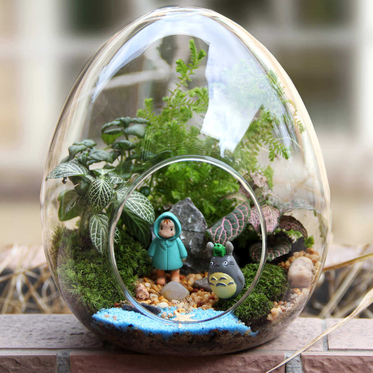 苔藓微景观 创意礼品摆件 绿植 苔藓瓶造景瓶 蛋形瓶植物 小世界
