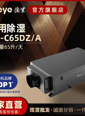 超薄吊顶家用除湿机DY-C65DZ别墅地下车库壁挂除湿器吊顶抽湿机