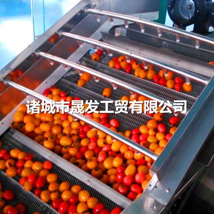 晟发牌大姜鲜姜清洗机 生姜加工清洗设备 全自动高压喷淋清洗机