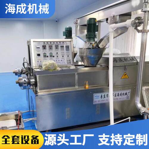 黄豆制品成套设备人造蛋白肉机面藕机生产设备人造肉豆皮机