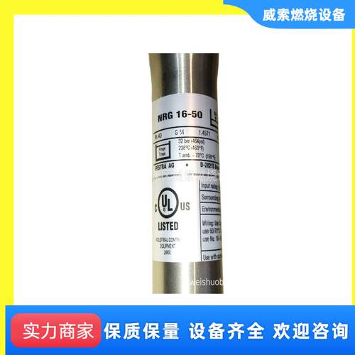 液位电极德国GESTRA水位探针NRG19-50欧宝船舶锅炉燃油燃烧器配件