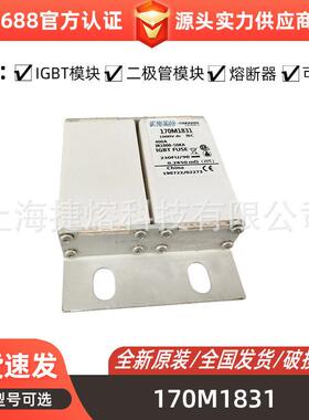 170M1831170M1842170M1843快速熔断器电子元器件标准封装现货