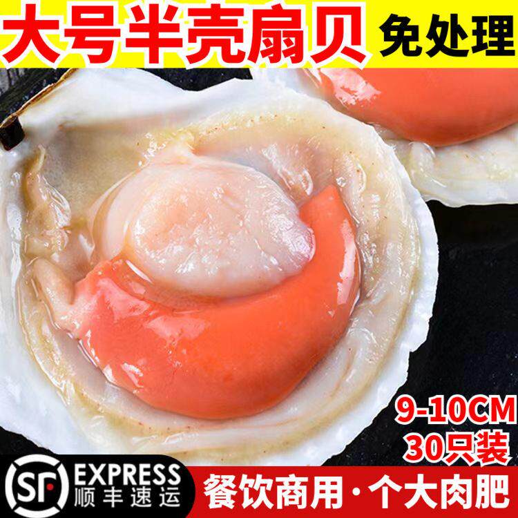 扇贝鲜活特大冷冻半壳无沙夏夷贝商用半成品粉丝蒜蓉烧烤海鲜食材