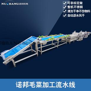 现货香菜清洗机连续式 高压喷淋清洗设备香菇气泡清洗烘干线