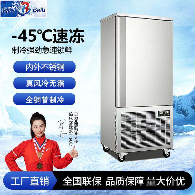 商用急冻冰柜-45°C速冻柜慕斯插盘柜低温冷冻柜冰箱厂家跨境电压