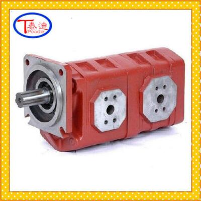 CBGj3063/3063CBGj3100/3100CBGj3125/3125双联齿轮泵