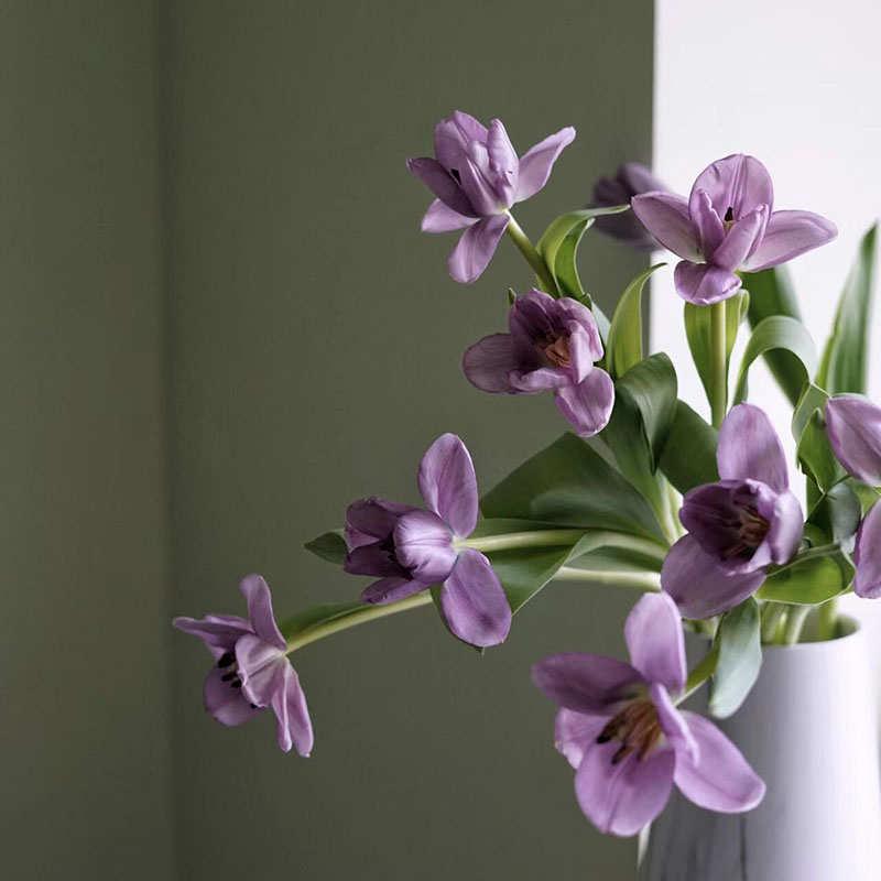 冬日一帘幽梦紫色郁金香鲜花家居办公餐桌茶几装饰插花商务送花