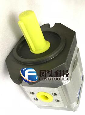 原装德国ECKERLE艾可勒齿轮泵 EIPC3-050RA23-10注塑机伺服齿轮泵