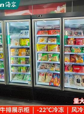 海容展示柜立式冷冻柜208/370L冰淇淋雪糕柜风冷无霜商用冰箱冷柜