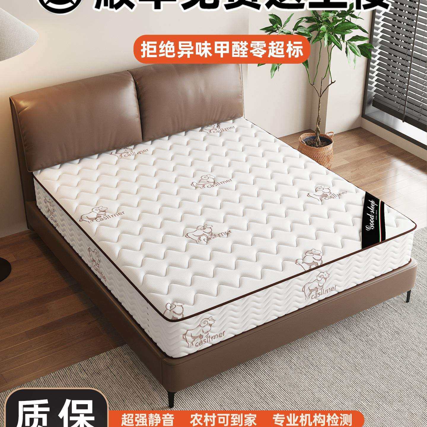 弹簧床垫子家庭用卧室乳胶软租房硬椰棕20cm厚四季通用席梦思