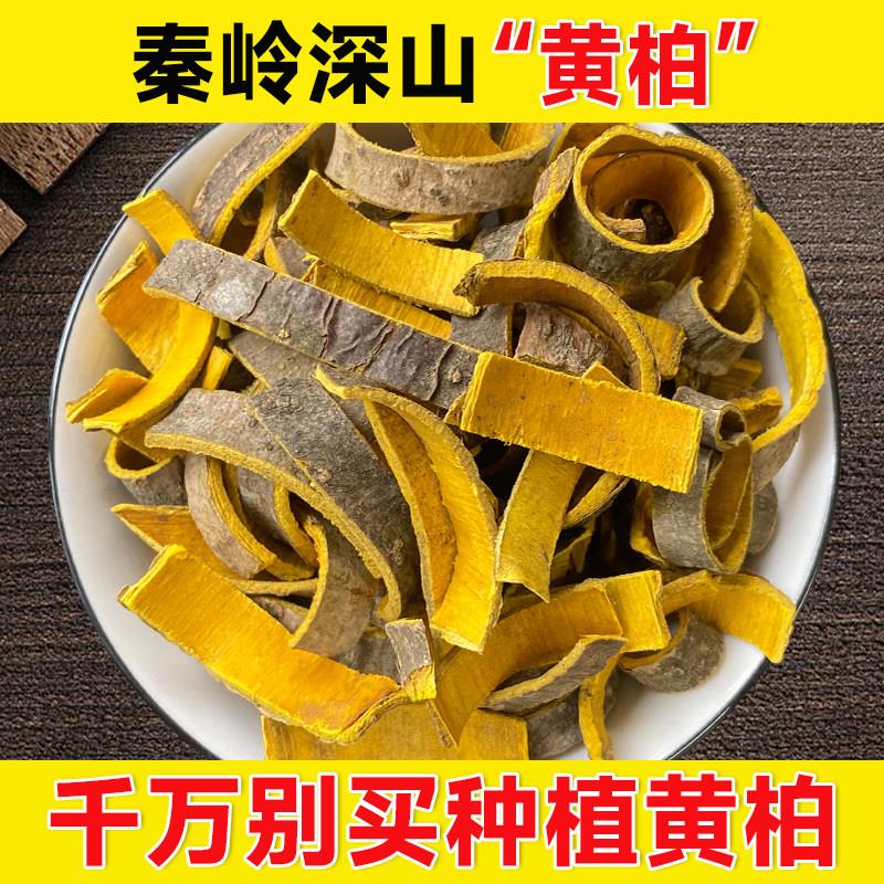 深山黄柏500g正品非特级无硫老树川黄柏皮可搭苍术黄柏粉泡茶泡水