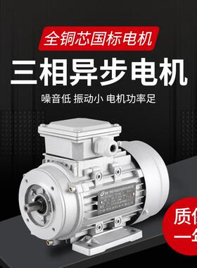 YS/YE2-100L1-4三相220V立卧式2.2KW电动机380V国标铜芯低速马达