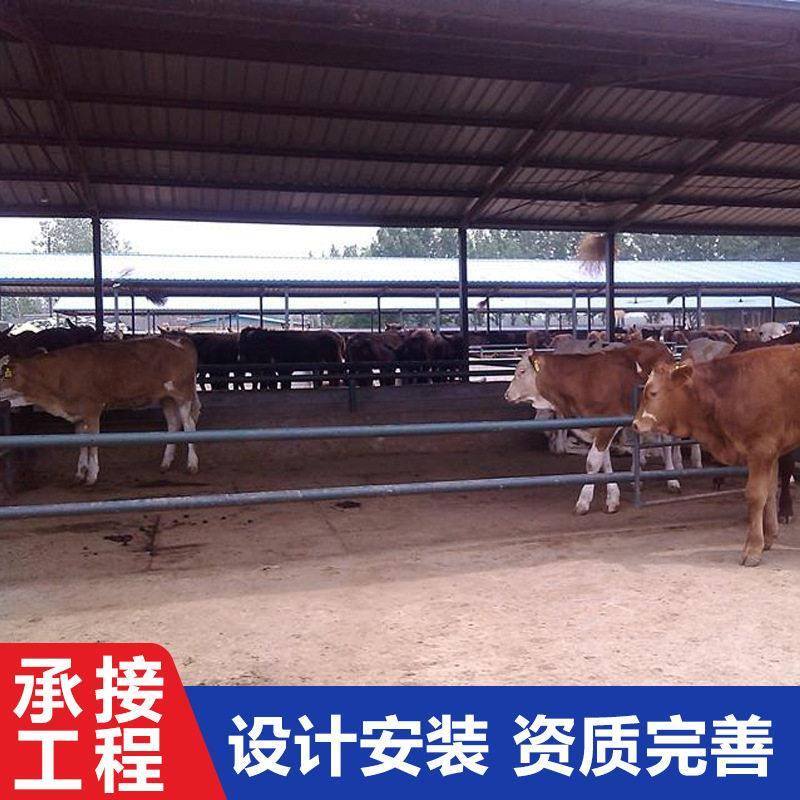 养殖牛棚 内蒙养牛场养殖大棚钢结构养牛场设备 牛羊舍搭建