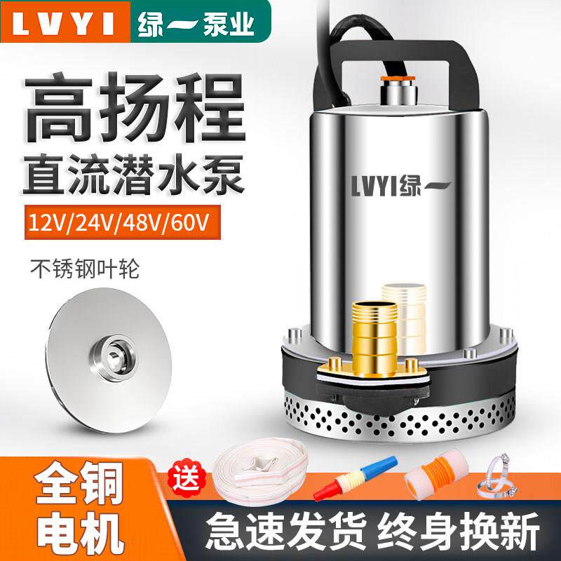 绿一农用48V直流潜水泵12V48V60V高扬程电动车家用抽水泵 水泵