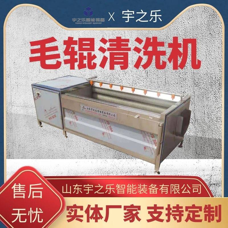 毛辊去皮清洗机天麻药材清洗设备多用途果蔬毛辊清洗机