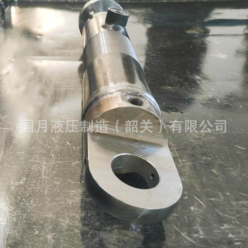 DJS-63/28—120-E-GE-00锁销油缸 农机冶金用摆动液压油缸