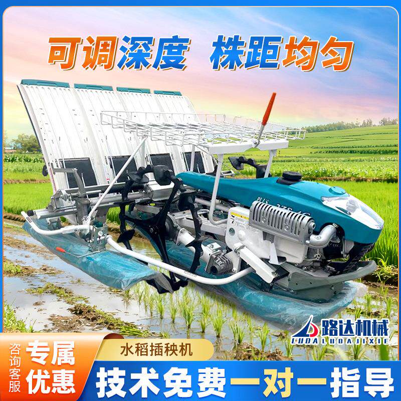 座驾式水稻插秧机水田耕地四行六行农用手扶式水稻秧苗种植一体机