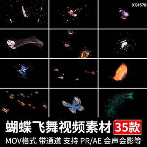 蝴蝶飞舞蝴蝶群拖尾粒子动画特效MOV带透明通道PRAE态动视频素材