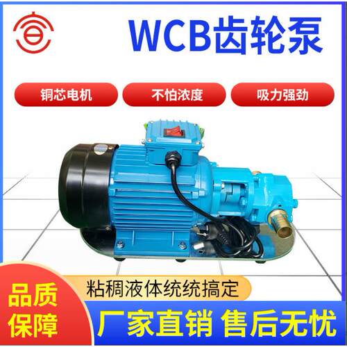 WCB30微型齿轮式输油泵供应WCB-30微型齿轮式输油泵