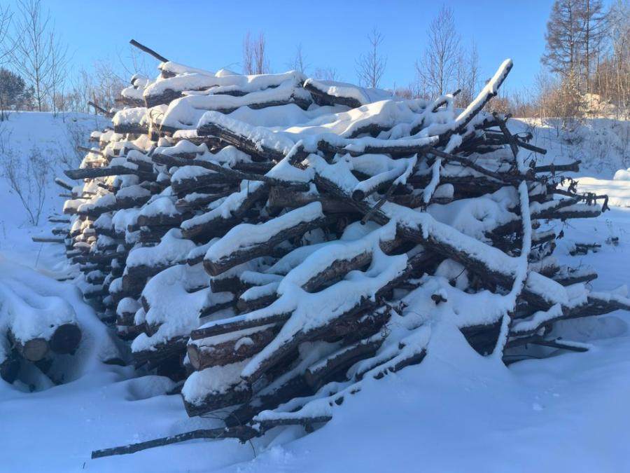 鹤岗市林业和草原局三道林场人工林落叶松、红松等一批原木木材及杂木剩余物整体拍卖