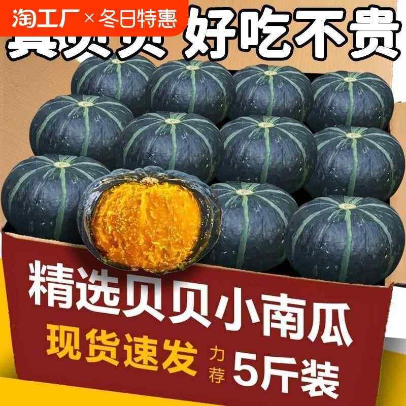 正宗贝贝南瓜山东板栗味小南瓜老熟粉面婴儿辅食孕妇粉糯食用好吃,粮油调味/速食/干货/烘焙,下饭/拌饭酱/拌饭料,淘宝优惠券,粉丝福利购,淘宝优惠卷