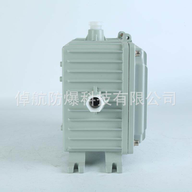 防爆整流器箱ⅡCe1000W防爆应急电源箱 防爆接线箱 防爆箱耐震