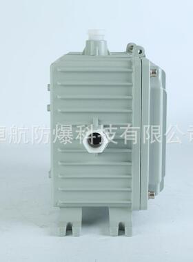 防爆整流器箱ⅡCe1000W防爆应急电源箱 防爆接线箱 防爆箱耐震