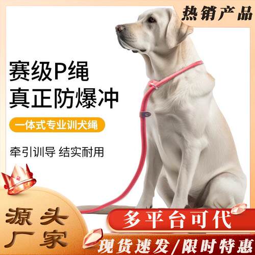 狗绳防爆冲链子小中大型犬外出遛狗神器狗狗牵引绳p绳p链遛狗绳子