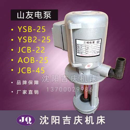 沈阳三友水泵YSB-25 YSB2-25 AOB-25 JCB-22 三相电泵JCB-45 厂家