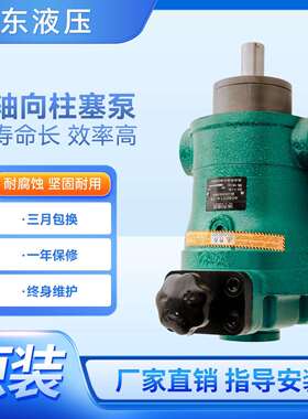 10SCY 25SCY 40SCY 63SCY 80SCY 160SCY 250SCY14-1B轴向柱塞泵