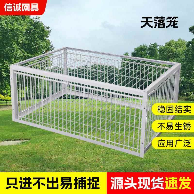 天落笼鸽子笼加厚加密自动收鸽子神器活络门撞门户外只进不出飞巢
