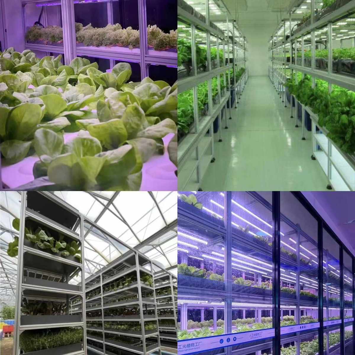 耐腐防水栽培种植框架 温室大棚植物种植架 耐腐防水栽培种植框架