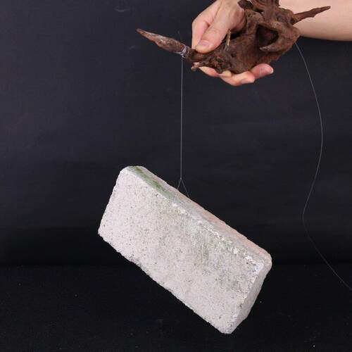 Fishing Line 100/150/200/300/500M Super Strong 100% transpar