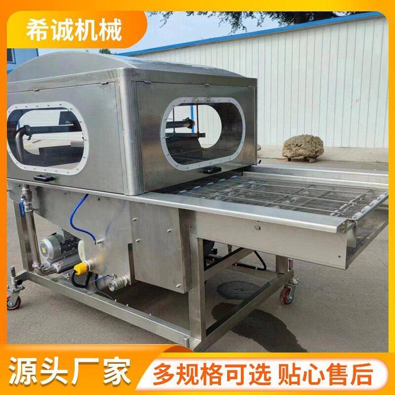 连续式巧克力涂层机奶香片涂黄油设备冻干蔬果涂巧克力源头厂家