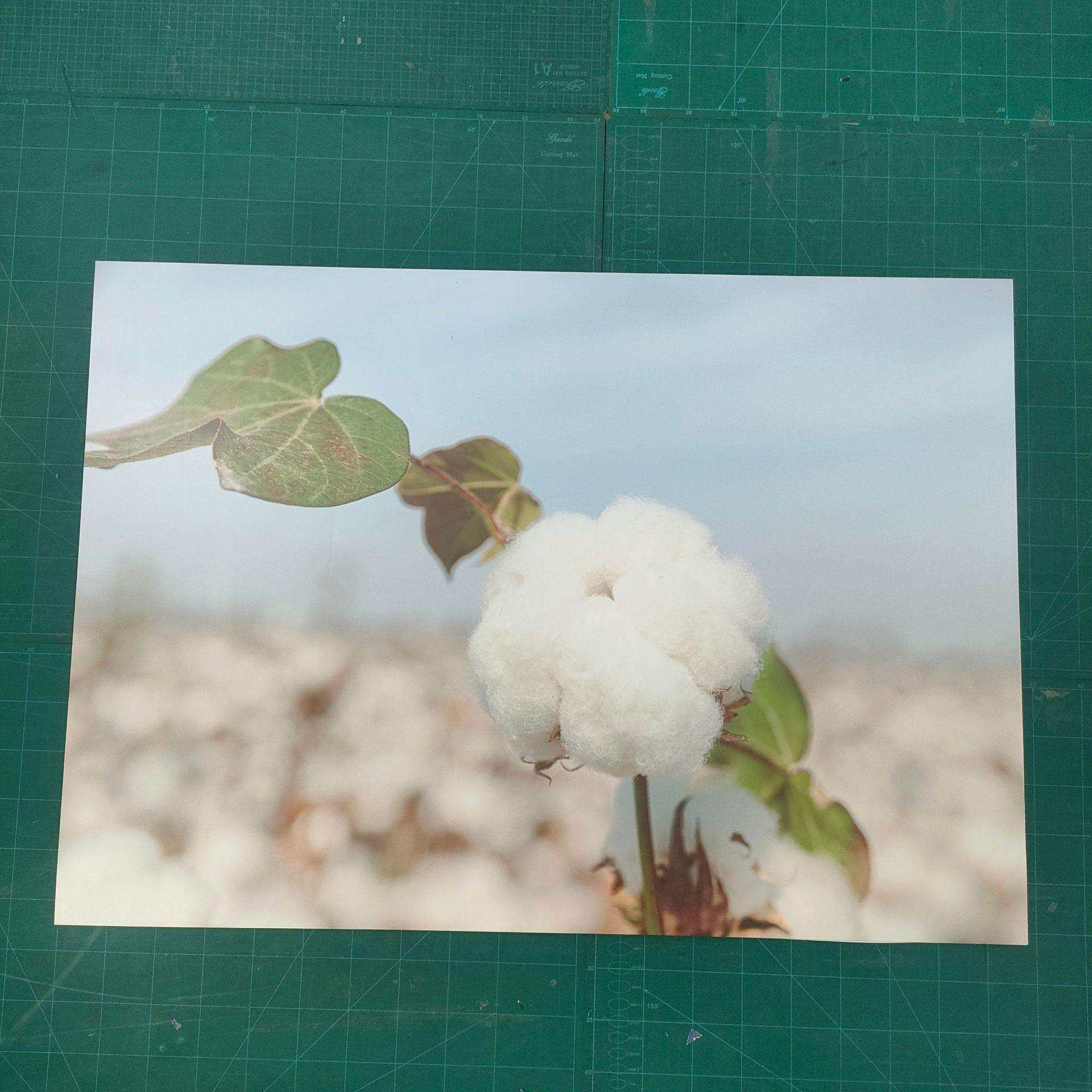 pvc雪弗板结皮板共挤板安迪板手提展板墙璧背景板专用