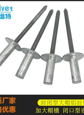 封闭型大帽拉钉 大圆头闭口式铆丁 盲孔拉铆钉 铝铁防水抽芯铆钉