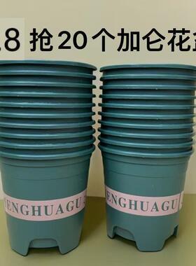 20个【口径12高12】120花盆0.35加仑花盆黄金葛小盆栽加仑多肉盆