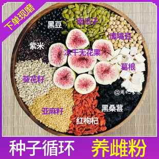 现磨亚麻籽无花果粉天然黄体酮全粉补充种子循环法养雌粉