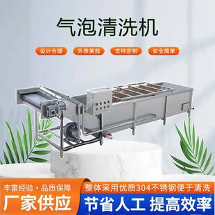 厂家供应气泡清洗机苹果清洗机食品级苹果气泡清洗机