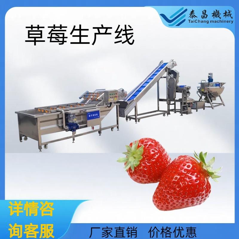 大型枇杷木瓜气泡清洗机商用樱桃水蜜桃破碎榨汁机蓝莓浓缩熬煮锅