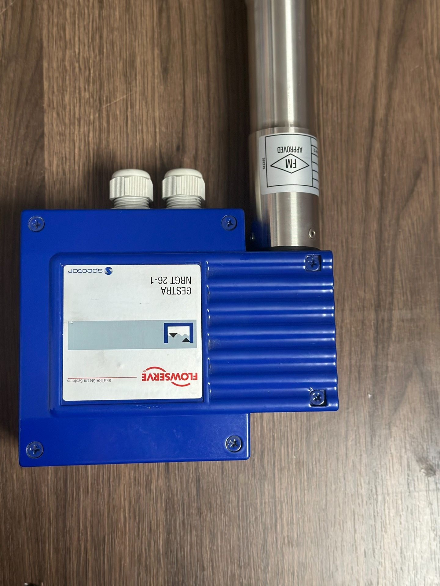 Gestra NRGT 26-1，H=500mm，液位传感器