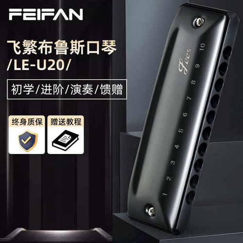 FEIFAN十孔PADDY 调专业演奏级布鲁斯口琴10孔入门初学者练习推荐