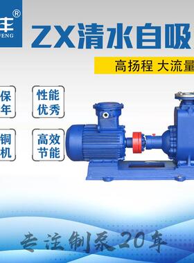 清水自吸泵卧式电动抽水离心泵100ZX100-32医药化工环保