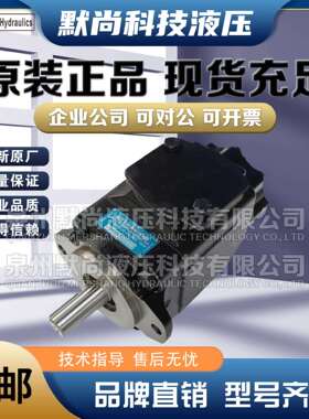 Denison丹尼逊叶片泵T7DB/T7DBS-B24/28/31/35/38/45-B02-1R00-A1