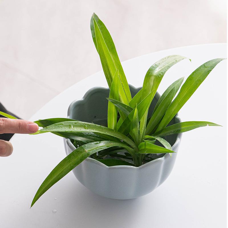 读途汝窑中式禅意大口陶瓷水培花瓶花盆睡莲水仙茶几摆件花艺器皿