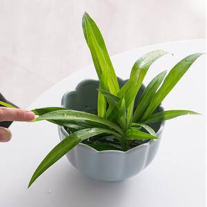 读途汝窑中式禅意大口陶瓷水培花瓶花盆睡莲水仙茶几摆件花艺器皿