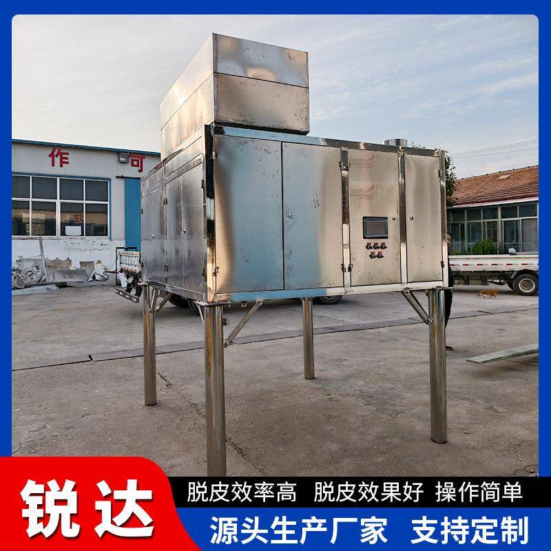 杏仁脱皮机榛子仁不锈钢空气脱皮机花生米巴旦木坚果脱皮机