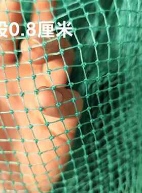 6股一指网眼养殖网养鸡网防鸟网小孔网渔网尼龙网户外顶网围栏网