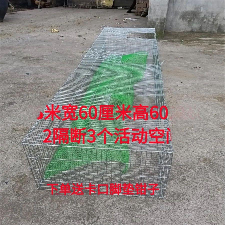 兔笼户用大型鸡笼户用大型鸟笼运输笼养殖笼鸡笼鹌鹑笼多用