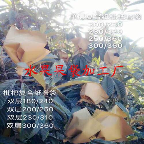 枇杷套袋枇杷防冻袋子防水纸袋套树上水果保护果袋枇杷果